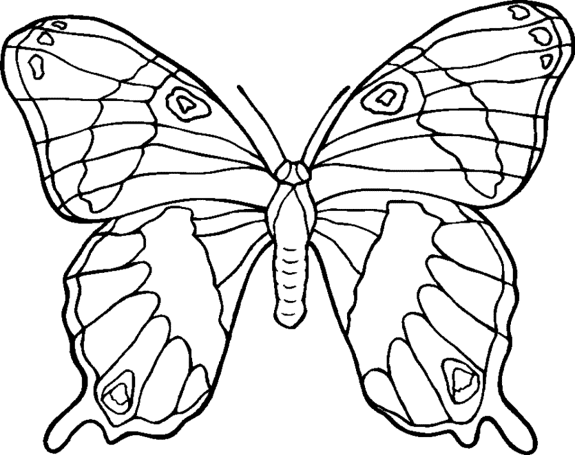 label butterfly coloring pages - photo #38