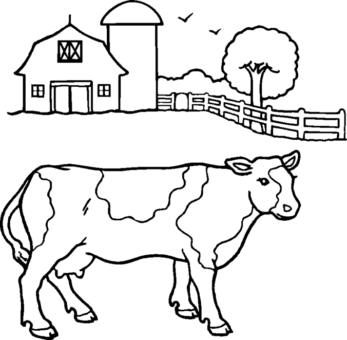 farm animal coloring pages. Cow on Farm