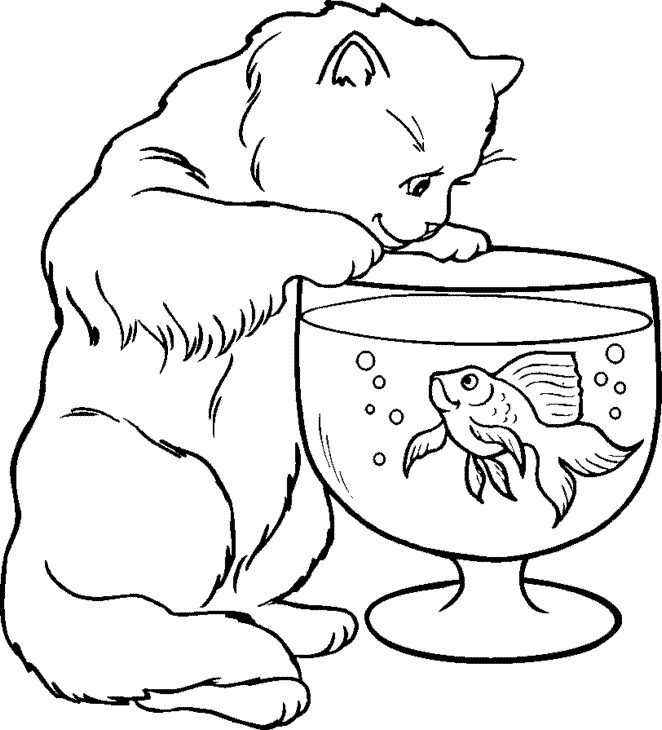 cat in hat fish bowl. Cat and Fish Bowl