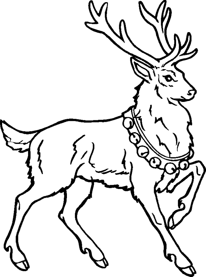 caribou tundra coloring pages - photo #38