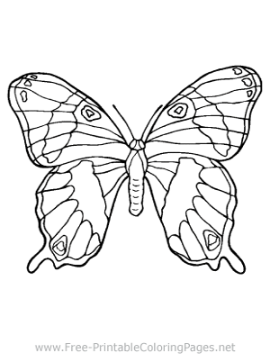 Animal Coloring Pages Animal Coloring Pages