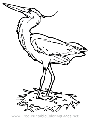 Heron Coloring Page