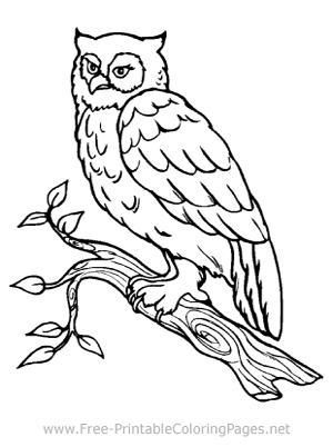 Owl Coloring Page