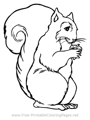 Squirrel Coloring Page