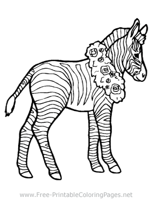 Zebra Coloring Page