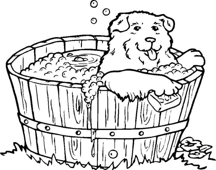 Download Animal Coloring Pages - Free Printable Coloring Pages