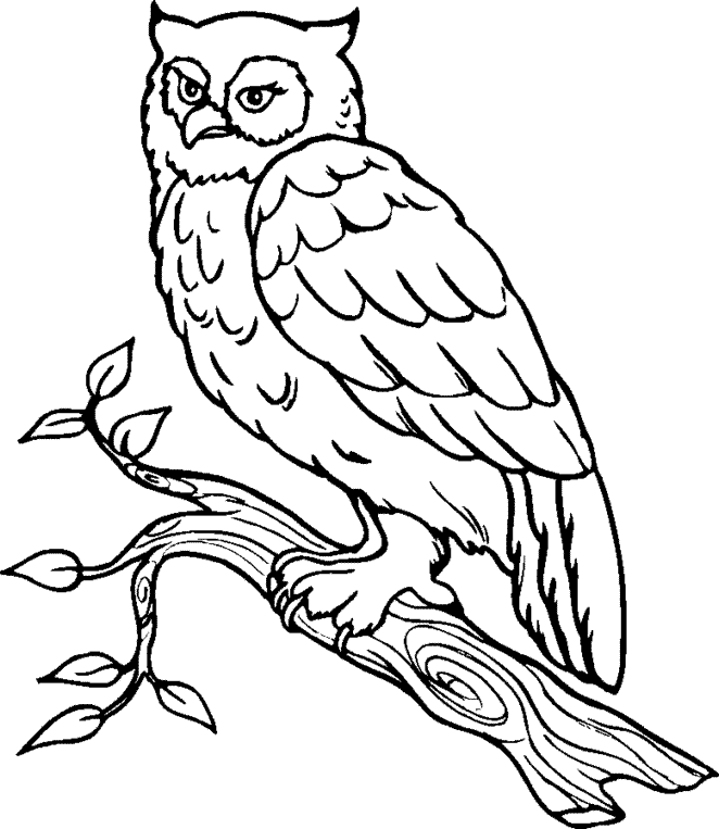 Animal Coloring Pages Animal Coloring Pages